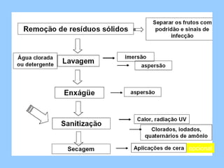 Pré-lavagem




              opcional
 