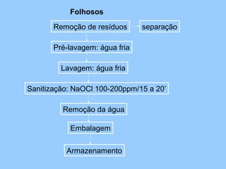 Folhosos

       Remoção de resíduos      separação

       Pré-lavagem: água fria

         Lavagem: água fria

Sanitização: NaOCl 100-200ppm/15 a 20’

         Remoção da água

           Embalagem


          Armazenamento
 