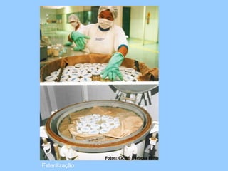 Esterilização
 