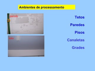 Ambientes de processamento

parede                                   Tetos

                                       Paredes

                                         Pisos
teto
                                      Canaletas

                                        Grades
 