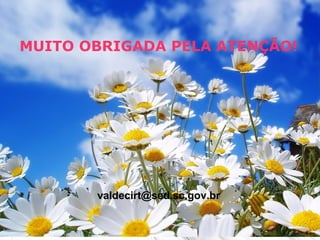 MUITO OBRIGADA PELA ATENÇÃO!
valdecirt@sed.sc.gov.br
 