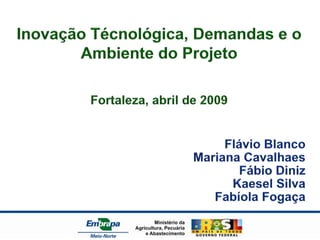 Inovação Técnológica, Demandas e o Ambiente do Projeto Fortaleza, abril de 2009 Flávio Blanco Mariana Cavalhaes Fábio Diniz Kaesel Silva Fabíola Fogaça 