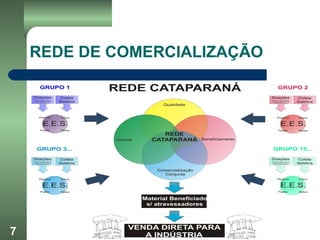 7
REDE DE COMERCIALIZAÇÃO
CVMR
 