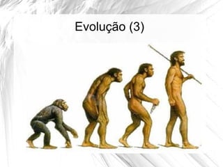 Evolução (3)
 