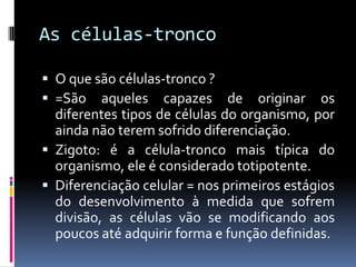 As células-tronco
 O que são células-tronco ?
 =São aqueles capazes de

originar os
diferentes tipos de células do organismo, por
ainda não terem sofrido diferenciação.
 Zigoto: é a célula-tronco mais típica do
organismo, ele é considerado totipotente.
 Diferenciação celular = nos primeiros estágios
do desenvolvimento à medida que sofrem
divisão, as células vão se modificando aos
poucos até adquirir forma e função definidas.

 