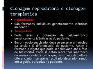 Clonagem reprodutora e clonagem
terapêutica
 Reprodutora
 São formados indivíduos geneticamente idênticos
ao doador
 Terapêutica
 Pode levar a obtenção de células-tronco
geneticamente idênticas às do paciente.
 Em um óvulo enucleado, deve se enxertar um núcleo
da célula ( já diferenciada) do paciente. Assim é
formado o zigoto que pode ser cultivado até a fase
de blastócitos. Pode se então retirar células-tronco
da massa celular interna que, em meio de cultura
diferenciariam-se até o resultado desejado, sendo
em seguida, utilizadas no paciente.

 