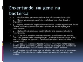 Enxertando um gene na
bactéria









1.
Os plasmídeos, pequenos anéis de DNA, são isolados da bacteria.
2.
O gene que se deseja transferisr é isolado de uma célula de outro
organismo.
3.
O gene e enxertado no plasmídeo bacteriano. Estamos agora diante de um
DNA recombinante, constituído pelo plasmídeo bacteriano e pelo gene
transplantado.
4.
O plasmídeo é recolocado na célula bacteriana, a gora uma bacteria
recombinante.
5.
As bactérias recombinantes reproduzem-se rapidamente em meio de
cultura e o gene estranho sofre duplicação. Cada bateria resultante tem assim,
sua copia de gene transplantado. Desse modo em diante a dos caminhos
possíveis ( 6 e 7 ).
6.
As bactérias recombinantes são utilizadas diretamente na fabricação de
produto gênico que interessa, como a insulina, por exemplo, ou o hormônio de
crescimento humano,utilizado no tratamento de casos de nanismo.
7.
Copias do gene são isoladas e transferidas para o organimos que se quer
modificar. Exemplo: plantas recebem genes que as tornam resistentes aos
insetos

 