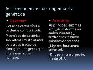 As ferramentas de engenharia
genética
 Os vetores

 As enzimas

= caso de certos vírus e
bactérias como a E.coli.
Plasmídeo de bactérias
são vetores muito usados
para a duplicação ou
clonagem – de genes que
interessam ao ser
humano.

As principais enzimas
são: _de restrição ( ou
endonucleases ) _
verdadeiras tesouras
químicas de precisão.
_Ligases: funcionam
como cola
_Dna polimerase: produz
fita de DNA

 