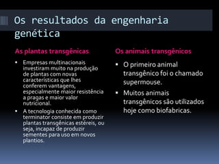 Os resultados da engenharia
genética
As plantas transgênicas

Os animais transgênicos

 Empresas multinacionais
investiram muito na produção
de plantas com novas

 O primeiro animal

características que lhes
conferem vantagens,
especialmente maior resistência
a pragas e maior valor
nutricional.
 A tecnologia conhecida como
terminator consiste em produzir
plantas transgênicas estéreis, ou
seja, incapaz de produzir
sementes para uso em novos
plantios.

transgênico foi o chamado
supermouse.
 Muitos animais
transgênicos são utilizados
hoje como biofabricas.

 