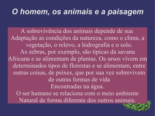 A modificação da paisagem; 