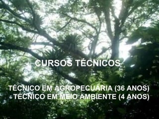 CURSOS TÉCNICOS

TÉCNICO EM AGROPECUÁRIA (36 ANOS)
 TÉCNICO EM MEIO AMBIENTE (4 ANOS)
 