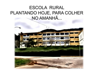 ESCOLA RURAL
PLANTANDO HOJE, PARA COLHER
        NO AMANHÃ...
 