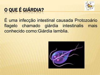 O QUE É GIÁRDIA?
É uma infecção intestinal causada Protozoário
flagelo chamado giárdia intestinalis mais
conhecido como:Giárdia lamblia.
 