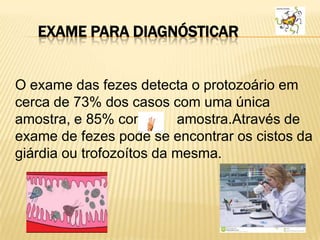 EXAME PARA DIAGNÓSTICAR
O exame das fezes detecta o protozoário em
cerca de 73% dos casos com uma única
amostra, e 85% com amostra.Através de
exame de fezes pode se encontrar os cistos da
giárdia ou trofozoítos da mesma.
 