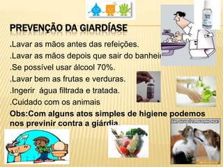 PREVENÇÃO DA GIARDÍASE
.Lavar as mãos antes das refeições.
.Lavar as mãos depois que sair do banheiro
.Se possível usar álcool 70%.
.Lavar bem as frutas e verduras.
.Ingerir água filtrada e tratada.
.Cuidado com os animais
Obs:Com alguns atos simples de higiene podemos
nos previnir contra a giárdia.
 