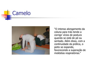 Camelo

         “O intenso alongamento da
         coluna para trás tende a
         corrigir vícios de postura
         quando se está de pé ou
         sentado. Além disso, com a
         continuidade da prática, o
         peito se expande,
         favorecendo a superação de
         moléstias respiratórias.”
 