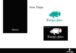 Apresentação da marca   forte alev