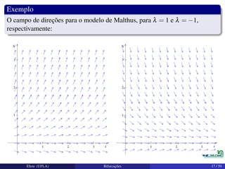 Exemplo
O campo de direções para o modelo de Malthus, para λ = 1 e λ = −1,
respectivamente:
Elton (UFLA) Bifurcações 17 / 59
 