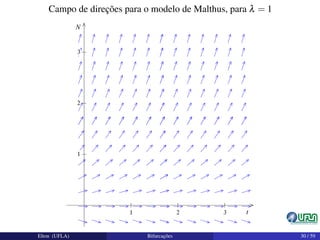 Campo de direções para o modelo de Malthus, para λ = 1
Elton (UFLA) Bifurcações 30 / 59
 