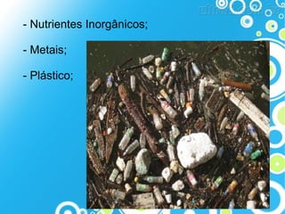 - Nutrientes Inorgânicos;
- Metais;
- Plástico;

 