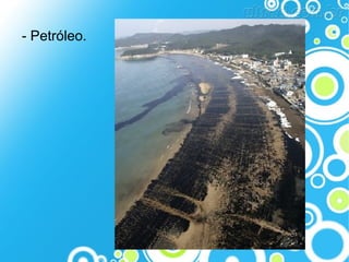 - Petróleo.

 