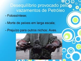 Desequilíbrio provocado pelos
vazamentos de Petróleo
- Fotossíntese;
- Morte de peixes em larga escala;
- Prejuízo para outros nichos: Aves.

 