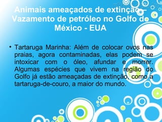 Animais ameaçados de extinção –
Vazamento de petróleo no Golfo do
México - EUA


Tartaruga Marinha: Além de colocar ovos nas
praias, agora contaminadas, elas podem se
intoxicar com o óleo, afundar e morrer.
Algumas espécies que vivem na região do
Golfo já estão ameaçadas de extinção, como a
tartaruga-de-couro, a maior do mundo.

 