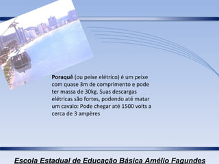 Poraquê  (ou peixe elétrico) é um peixe com quase 3m de comprimento e pode ter massa de 30kg. Suas descargas elétricas são fortes, podendo até matar um cavalo: Pode chegar até 1500 volts a cerca de 3 ampères 