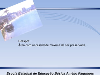 Hotspot : Área com necessidade máxima de ser preservada . 