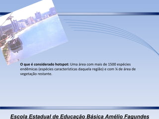 O que é considerado hotspot:  Uma área com mais de 1500 espécies endêmicas (espécies características daquela região) e com ¼ de área de vegetação restante. 