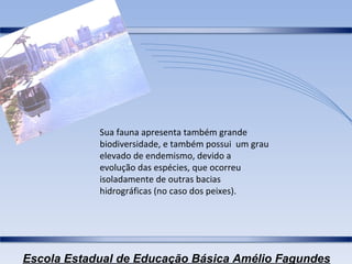Sua fauna apresenta também grande biodiversidade, e também possui  um grau elevado de endemismo, devido a evolução das espécies, que ocorreu isoladamente de outras bacias hidrográficas (no caso dos peixes). 