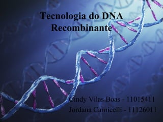 Tecnologia do DNA
  Recombinante




     Cindy Vilas Boas - 11015411
     Jordana Carnicelli - 11126011
 