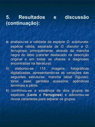 5. Resultados e discussão
(continuação):
4)4) analisou-se a validade da espécieanalisou-se a validade da espécie O. sulphurataO. sulphurata::
espécie válida, separada deespécie válida, separada de O. discolorO. discolor ee O.O.
ferrugineaferruginea, principalmente, através da mancha, principalmente, através da mancha
negra do lábio (cara’ter destacado na descriçãonegra do lábio (cara’ter destacado na descrição
original e em todas as chaves e diagnosesoriginal e em todas as chaves e diagnoses
encontradas na literatura).encontradas na literatura).
5) elaborou-se 115 imagens fotográficas5) elaborou-se 115 imagens fotográficas
digitalizadas, apresentando-se as variações dasdigitalizadas, apresentando-se as variações das
seguintes estruturas: mancha labial (figuras);seguintes estruturas: mancha labial (figuras);
tórax; asas; genitália acessória; apêndicestórax; asas; genitália acessória; apêndices
terminais e pênis.terminais e pênis.
6) confirmou-se a existência de dois grupos de6) confirmou-se a existência de dois grupos de
espécies (espécies (LevisLevis ee FerrugineaFerruginea) e adicionou-se) e adicionou-se
novos caracteres para separar os grupos.novos caracteres para separar os grupos.
 