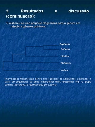 5. Resultados e discussão
(continuação):
7) elaborou-se uma proposta filogenética para o gênero em7) elaborou-se uma proposta filogenética para o gênero em
relação a gêneros próximos:relação a gêneros próximos:
Erythemis
Orthemis
Libellula
Plathemis
Ladona
Interrelações filogenéticas dentre cinco gêneros de Libellulidae, estimadas a
partir de seqüências do gene mitocondrial RNA ribossomal 16S. O grupo
externo (out-group) é representado por Ladona.
 