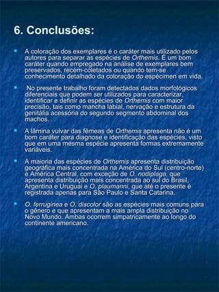 6. Conclusões:
 A coloração dos exemplares é o caráter mais utilizado pelosA coloração dos exemplares é o caráter mais utilizado pelos
autores para separar as espécies deautores para separar as espécies de OrthemisOrthemis. É um bom. É um bom
caráter quando empregado na análise de exemplares bemcaráter quando empregado na análise de exemplares bem
preservados, recém-coletados ou quando tem-sepreservados, recém-coletados ou quando tem-se
conhecimento detalhado da coloração do espécimen em vida.conhecimento detalhado da coloração do espécimen em vida.
 No presente trabalho foram detectados dados morfológicosNo presente trabalho foram detectados dados morfológicos
diferenciais que podem ser utilizados para caracterizar,diferenciais que podem ser utilizados para caracterizar,
identificar e definir as espécies deidentificar e definir as espécies de OrthemisOrthemis com maiorcom maior
precisão, tais como mancha labial, nervação e estrutura daprecisão, tais como mancha labial, nervação e estrutura da
genitália acessória do segundo segmento abdominal dosgenitália acessória do segundo segmento abdominal dos
machos.machos.
 A lâmina vulvar das fêmeas deA lâmina vulvar das fêmeas de OrthemisOrthemis apresenta não é umapresenta não é um
bom caráter para diagnose e identificação das espécies, vistobom caráter para diagnose e identificação das espécies, visto
que em uma mesma espécie apresenta formas extremamenteque em uma mesma espécie apresenta formas extremamente
variáveis.variáveis.
 A maioria das espécies deA maioria das espécies de OrthemisOrthemis apresenta distribuiçãoapresenta distribuição
geográfica mais concentrada na América do Sul (centro-norte)geográfica mais concentrada na América do Sul (centro-norte)
e América Central, com exceção dee América Central, com exceção de O. nodiplaga,O. nodiplaga, queque
apresenta distribuição mais concentrada ao sul do Brasil,apresenta distribuição mais concentrada ao sul do Brasil,
Argentina e Uruguai eArgentina e Uruguai e O. plaumanniO. plaumanni, que até o presente é, que até o presente é
registrada apenas para São Paulo e Santa Catarina.registrada apenas para São Paulo e Santa Catarina.
 O. ferrugineaO. ferruginea ee O. discolorO. discolor são as espécies mais comuns parasão as espécies mais comuns para
o gênero e que apresentam a mais ampla distribuição noo gênero e que apresentam a mais ampla distribuição no
Novo Mundo. Ambas ocorrem simpatricamente ao longo doNovo Mundo. Ambas ocorrem simpatricamente ao longo do
continente americano.continente americano.
 