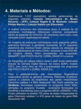 4. Materiais e Métodos:
 Examinou-se 1.312 exemplares adultos pertencentes àsExaminou-se 1.312 exemplares adultos pertencentes às
seguintes coleções:seguintes coleções: Coleção Odonatológica do MuseuColeção Odonatológica do Museu
Nacional – UFRJNacional – UFRJ,, Coleção Ângelo B. M. MachadoColeção Ângelo B. M. Machado,, ColeçãoColeção
Philipe MachetPhilipe Machet ee Coleção Natália von Ellenrieder.Coleção Natália von Ellenrieder.
 A análise minuciosa dos exemplares levou à seleção de 33A análise minuciosa dos exemplares levou à seleção de 33
caracteres morfológicos diferenciais externos comparáveiscaracteres morfológicos diferenciais externos comparáveis
dentre as espécies dedentre as espécies de OrthemisOrthemis. Os caracteres, bem como, suas. Os caracteres, bem como, suas
variações foram registradas em tabela.variações foram registradas em tabela.
 As imagens de estruturas morfológicas muito pequenas (pênis,As imagens de estruturas morfológicas muito pequenas (pênis,
apêndices terminais e genitálias acessórias do 2º segmentoapêndices terminais e genitálias acessórias do 2º segmento
abdominal dos machos) foram obtidas através da utilização deabdominal dos machos) foram obtidas através da utilização de
câmera digitalizadora da marca COHU, acoplada à lupa Wild M8.câmera digitalizadora da marca COHU, acoplada à lupa Wild M8.
As imagens obtidas foram processadas nos programas:As imagens obtidas foram processadas nos programas:
SNNAPPY, MGi PHOTO SUITE, COREL DRAW 9.0 e outros.SNNAPPY, MGi PHOTO SUITE, COREL DRAW 9.0 e outros.
 As fotografias de cabeça (lábio), tórax e asas foram elaboradasAs fotografias de cabeça (lábio), tórax e asas foram elaboradas
através de Câmera Digital Mavica, da marca SONY, modeloatravés de Câmera Digital Mavica, da marca SONY, modelo
FD73, com zoom ótico de 10x e processadas nos programasFD73, com zoom ótico de 10x e processadas nos programas
MGi PHOTO SUITE e COREL DRAW 9.0.MGi PHOTO SUITE e COREL DRAW 9.0.
 Para o estabelecimento das interrelações filogenéticasPara o estabelecimento das interrelações filogenéticas
moleculares dentre os gênerosmoleculares dentre os gêneros Orthemis, Plathemis, Erythemis,Orthemis, Plathemis, Erythemis,
LadonaLadona ee LibellulaLibellula as seqüências dos genes mitocondriaisas seqüências dos genes mitocondriais
Citocromo oxidase I e RNA ribossomal 16S, foram extraídas doCitocromo oxidase I e RNA ribossomal 16S, foram extraídas do
GenBank,GenBank, formatadas inicialmente no programa Word 2002,formatadas inicialmente no programa Word 2002,
alinhadas no programa Clustalw novamente formatadas noalinhadas no programa Clustalw novamente formatadas no
WordPad e transferidas para o programa MEGA (VERSÃO 1.02).WordPad e transferidas para o programa MEGA (VERSÃO 1.02).
Foram utilizados na análise 735 pares de bases nitrogenadas doForam utilizados na análise 735 pares de bases nitrogenadas do
gene Citocromo oxidase I e 416 pares de bases do gene RNAgene Citocromo oxidase I e 416 pares de bases do gene RNA
ribossomal 16S.ribossomal 16S.
 