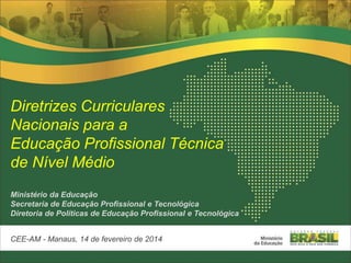 Diretrizes Curriculares
Nacionais para a
Educação Profissional Técnica
de Nível Médio
Ministério da Educação
Secretaria de Educação Profissional e Tecnológica
Diretoria de Políticas de Educação Profissional e Tecnológica
CEE-AM - Manaus, 14 de fevereiro de 2014
 