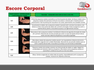 Escore Corporal
Escore corporal – sentindo através
e sob as pequenas costelas
Descrição - comparado como sente ao tocar à uma mão
O final das pequenas costelas assemelha-se ao final da ponta dos dedos. Ao forçar o dedos sob as
pequenas costelas não apresenta nenhuma musculatura, somente pele. A espinha dorsal é
proeminente e não há presença de musculatura nas costas, aparentando uma cavidade convexa.
Ao pressionar os dedos sob as pequenas costelas é possível sentir uma leve musculatura, com
distancia similar à das pontas dos dedos até a primeira articulação. Ainda conseguimos sentir a
espinha dorsal, porém a musculatura já passa a ser ligeiramente côncava.
Musculatura sob as pequenas costelas é semelhante à distancia da segunda articulação dos dedos
até a primeira. Necessita de uma leve pressão para sentir os ossos da espinha dorsal onde já
existe uma leve cobertura de gordura e musculatura igualada.
Musculatura abaixo das pequenas costelas passam a ser equivalentes a distancia da terceira
articulação até a segunda com os dedos flexionados. Necessita de uma pressão mediana para se
sentir a espinha dorsal onde a musculatura já começa a ser de formato arredondado.
Pequenas costelas são sentidas somente com forte pressão dos dedos na região. Região fica
arredondada com bastante cobertura de gordura. Musculatura sob as pequenas costelas se
assemelham a distância do punho ao início dos dedos.
Obesa. Gordura exagerada em ambos lados da espinha, impossibilitando sentir as pequenas
costelas. Incomum em rebanhos comerciais.
 