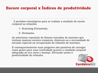 • 2 períodos estratégicos para se realizar a medição de escore
corporal no rebanho;
• 1- Scanning (Utrassom);
• 2- Desmama.
• Ao selecionar reposição de fêmeas oriundas de matrizes que
tenham maiores escores corporais, diminuie-se a necessidade de
atenção especial na recuperação do rebanho de matrizes.
• E consequentemente suas progenes são passíveis de carregar
esses genes para uma rusticidade quanto a condição corporal
adequada ao seu meio e manejo. Elevando assim a
produtividade do rebanho.
Escore corporal x Índices de produtividade
 