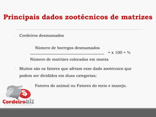 Principais dados zootécnicos de matrizes
• Cordeiros desmamados
Número de borregos desmamados
______________________________________ = x 100 = %
Número de matrizes colocadas em monta
• Muitos são os fatores que afetam esse dado zootécnico que
podem ser divididos em duas categorias;
• Fatores do animal ou Fatores do meio e manejo.
 