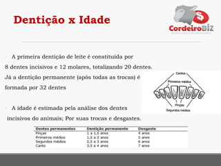 Dentição x Idade
• A primeira dentição de leite é constituída por
8 dentes incisivos e 12 molares, totalizando 20 dentes.
Já a dentição permanente (após todas as trocas) é
formada por 32 dentes
• A idade é estimada pela análise dos dentes
incisivos do animais; Por suas trocas e desgastes.
 