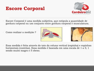 Escore Corporal
• Escore Corporal é uma medida subjetiva, que estipula a quantidade de
gordura corporal ou um conjunto entre gordura corporal e musculatura.
• Como realizar a medição ?
• Essa medida é feita através do tato da coluna vertical (espinha) e espinhas
horizontais (costelas). Essa medida é baseada em uma escala de 1 a 5; 1
sendo muito magro e 5 obeso.
 