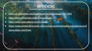 REFERÊNCIAS
● https://pt.slideshare.net/ElisaMargaritaOrland/algas-73617605
● https://www.infoescola.com/biologia/algas/
● https://www.todamateria.com.br/algas/
● https://www.pensamentoverde.com.br/meio-ambiente/saiba-importancia-ecol
ogica-algas-marinhas/
 
