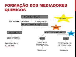 FORMAÇÃO DOS MEDIADORES
QUÍMICOS
FOSFOLIPÍDEOS
ÁCIDO ARAQUIDÔNICO
CICLOXIGENASES
Fosfolipase A2Histamina e Bradicinina
---------------------------------------------------------------
----------------------------------
------------------
 