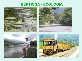 BERTIOGA - ECOLOGIA