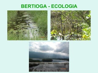 BERTIOGA - ECOLOGIA