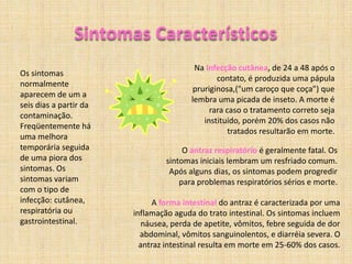 Infecção nas trompas e ovários;