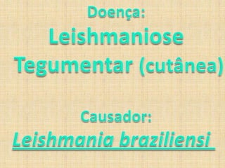 Outra forma de diagnóstico é a análise do histórico do paciente; 