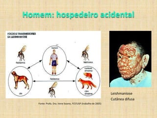 Uso de preservativos de látex.