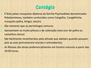 Manter relações monogâmicas de longo período com parceiro saudável